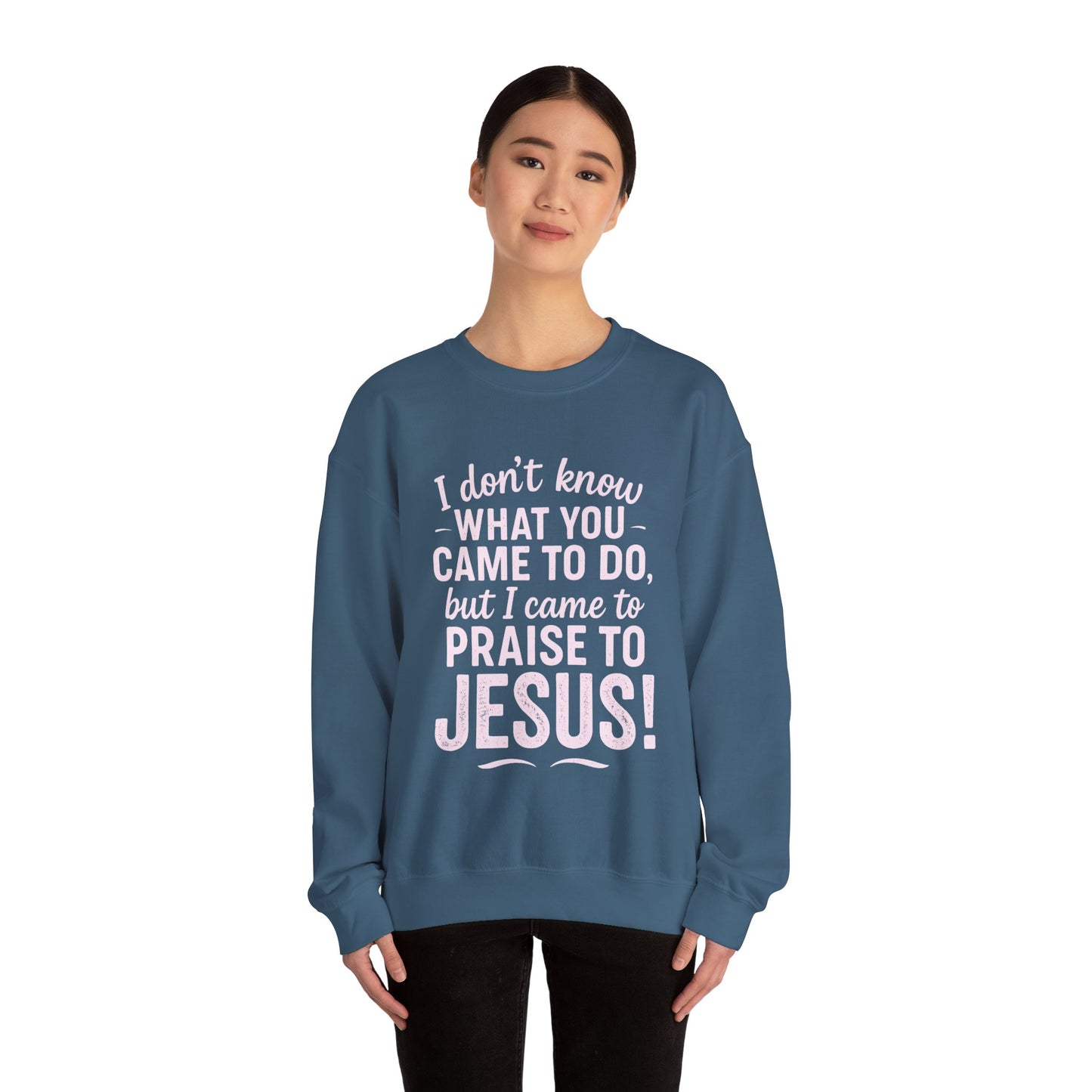 "Came to Praise Jesus" Unisex Heavy Sweatshirt (Light Pink Logo)