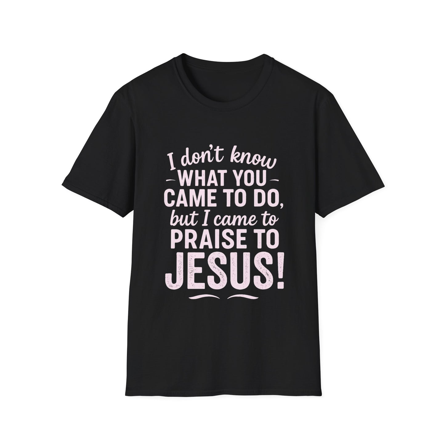"I Came to Praise Jesus" Relaxed Softstyle Tshirt (Light Pink Logo) - Sweet Baby Jeez Teez