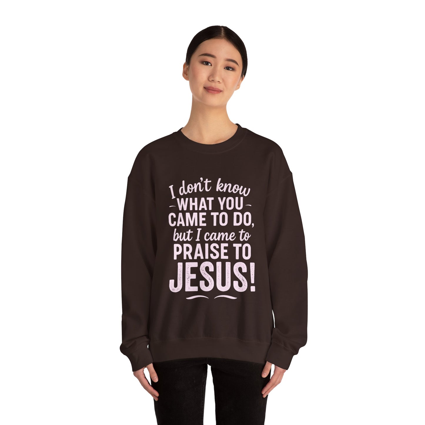 "Came to Praise Jesus" Unisex Heavy Sweatshirt (Light Pink Logo)