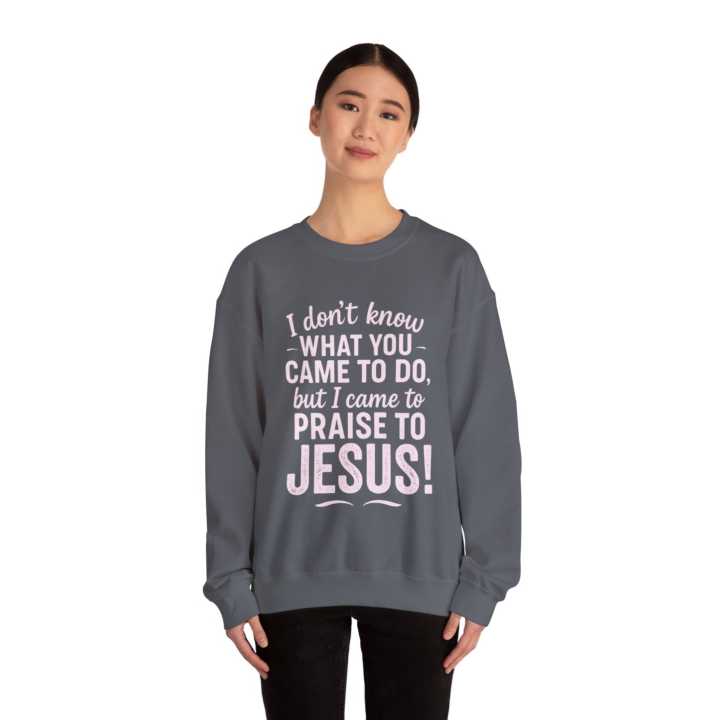 "Came to Praise Jesus" Unisex Heavy Sweatshirt (Light Pink Logo)