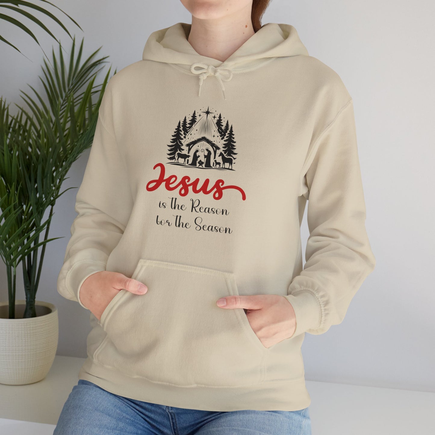 Jesus is the Reason Women's Relaxed Hoodie - Sweet Baby Jeez Teez