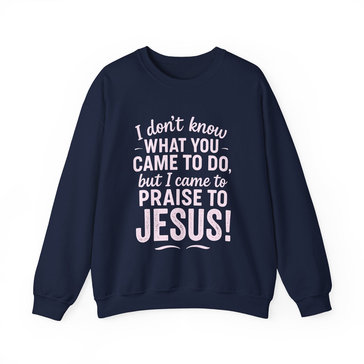 "Came to Praise Jesus" Unisex Heavy Sweatshirt (Light Pink Logo)