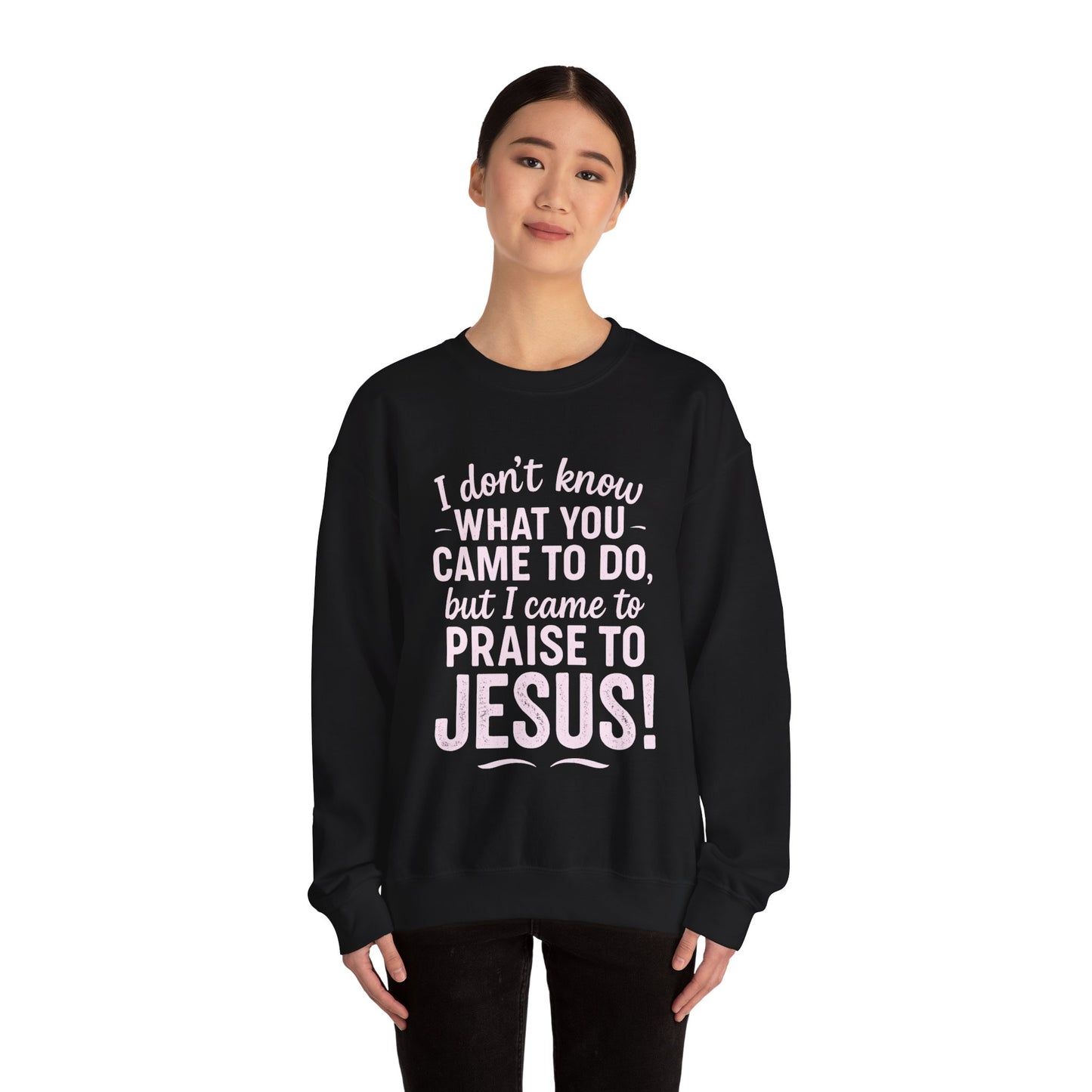 "Came to Praise Jesus" Unisex Heavy Sweatshirt (Light Pink Logo)