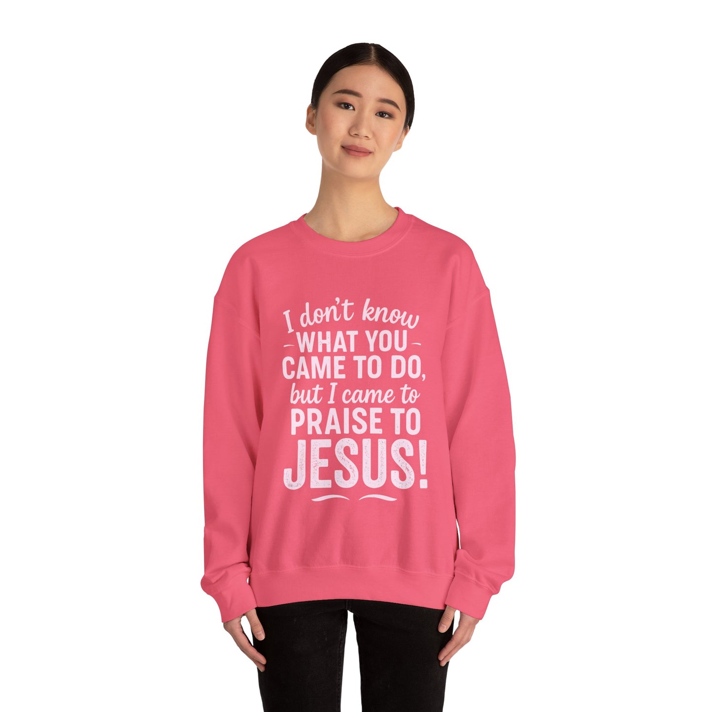 "Came to Praise Jesus" Unisex Heavy Sweatshirt (Light Pink Logo)