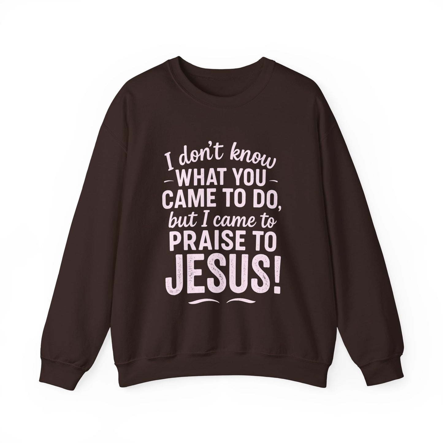 "Came to Praise Jesus" Unisex Heavy Sweatshirt (Light Pink Logo)
