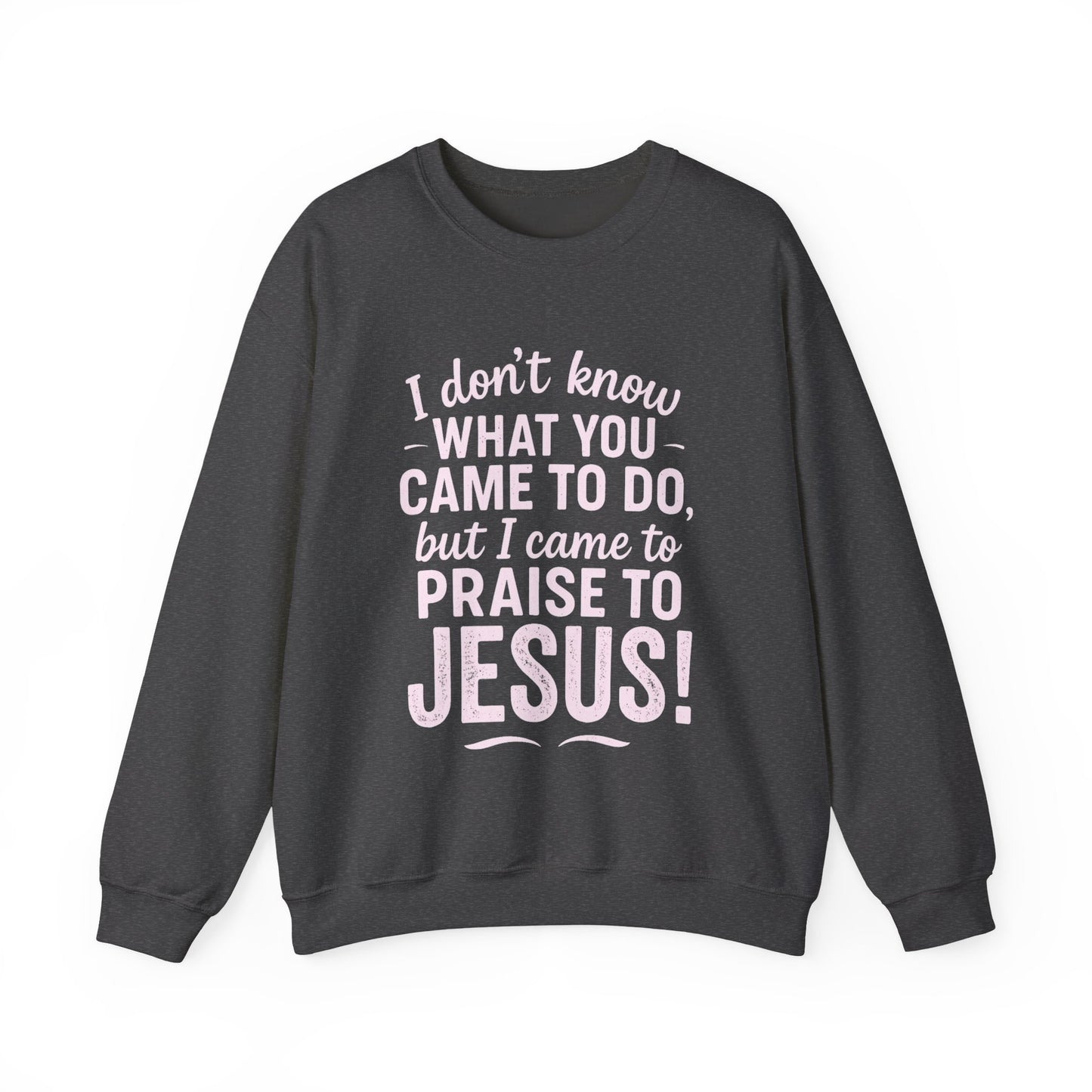 "Came to Praise Jesus" Unisex Heavy Sweatshirt (Light Pink Logo)