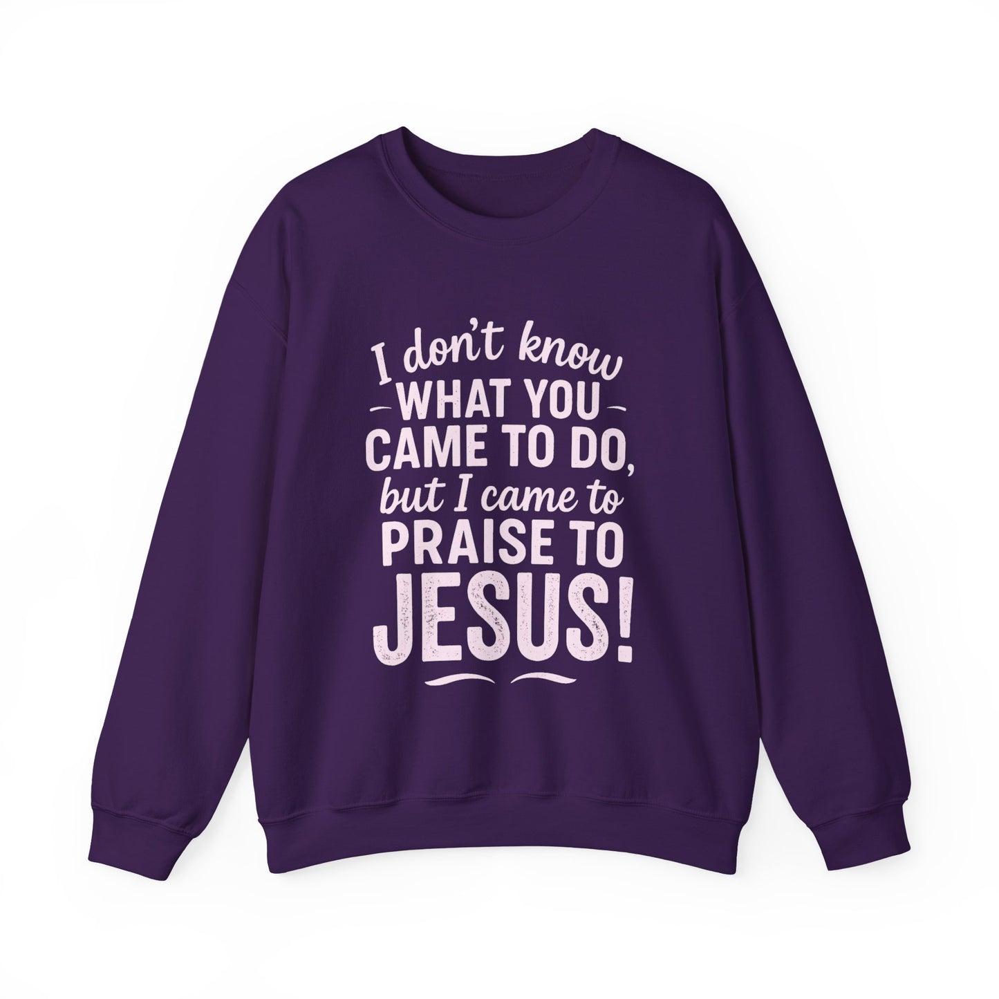 "Came to Praise Jesus" Unisex Heavy Sweatshirt (Light Pink Logo)