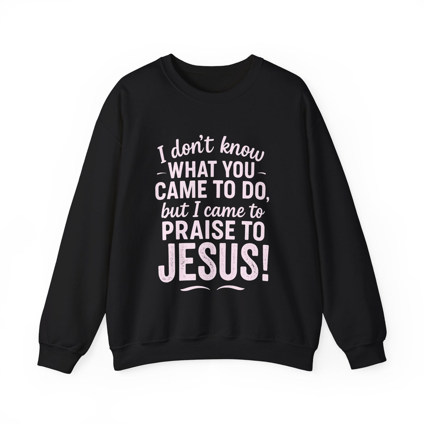 "Came to Praise Jesus" Unisex Heavy Sweatshirt (Light Pink Logo)