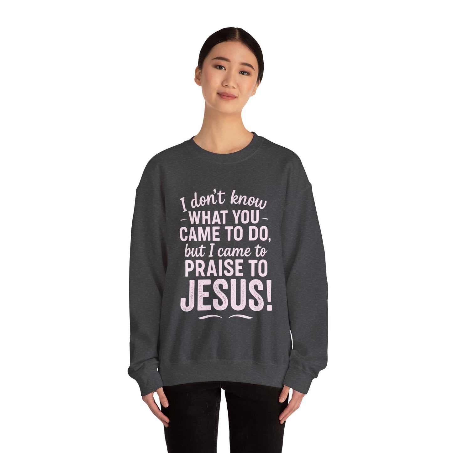 "Came to Praise Jesus" Unisex Heavy Sweatshirt (Light Pink Logo)