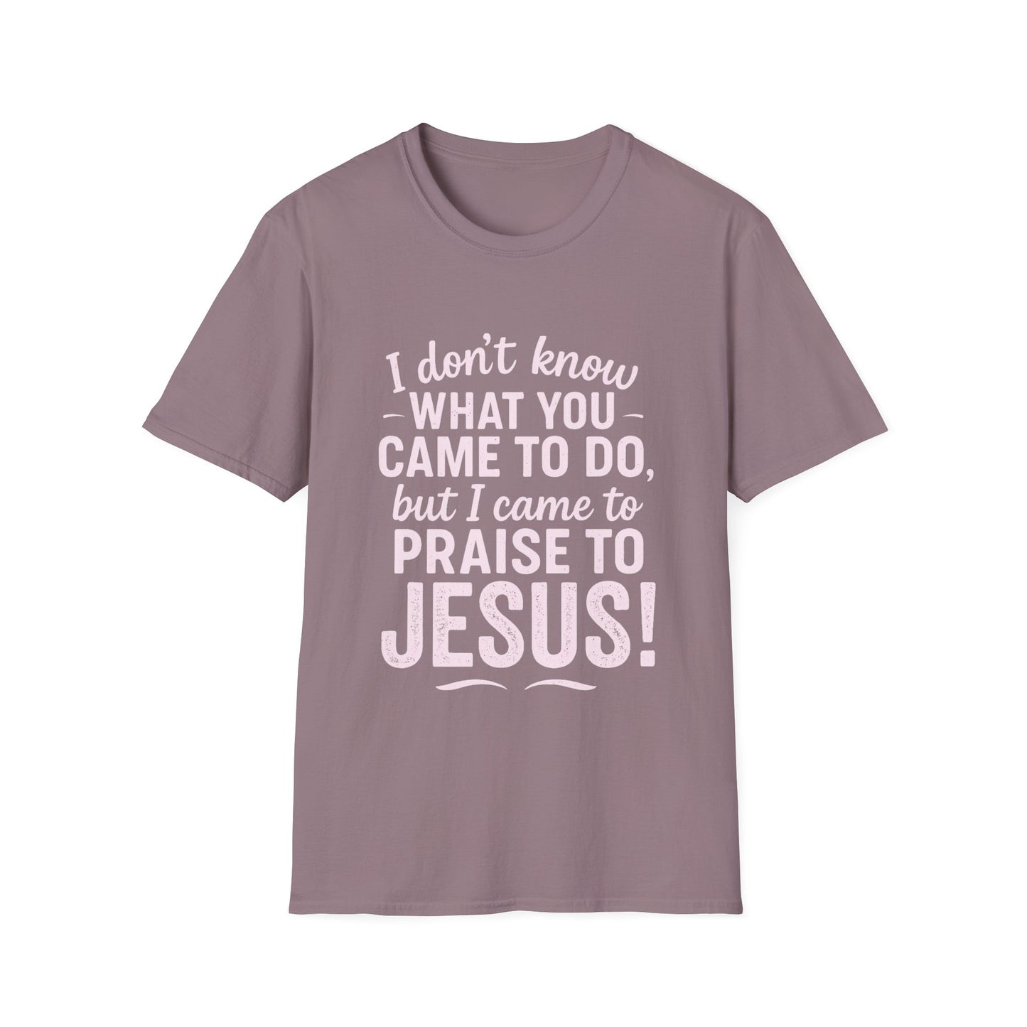 "I Came to Praise Jesus" Relaxed Softstyle Tshirt (Light Pink Logo) - Sweet Baby Jeez Teez
