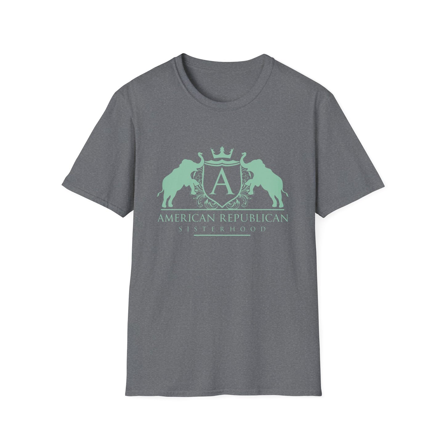ARS Logo Women's Relaxed/Plus Tshirt (ARS - Mint Logo) - Sweet Baby Jeez Teez