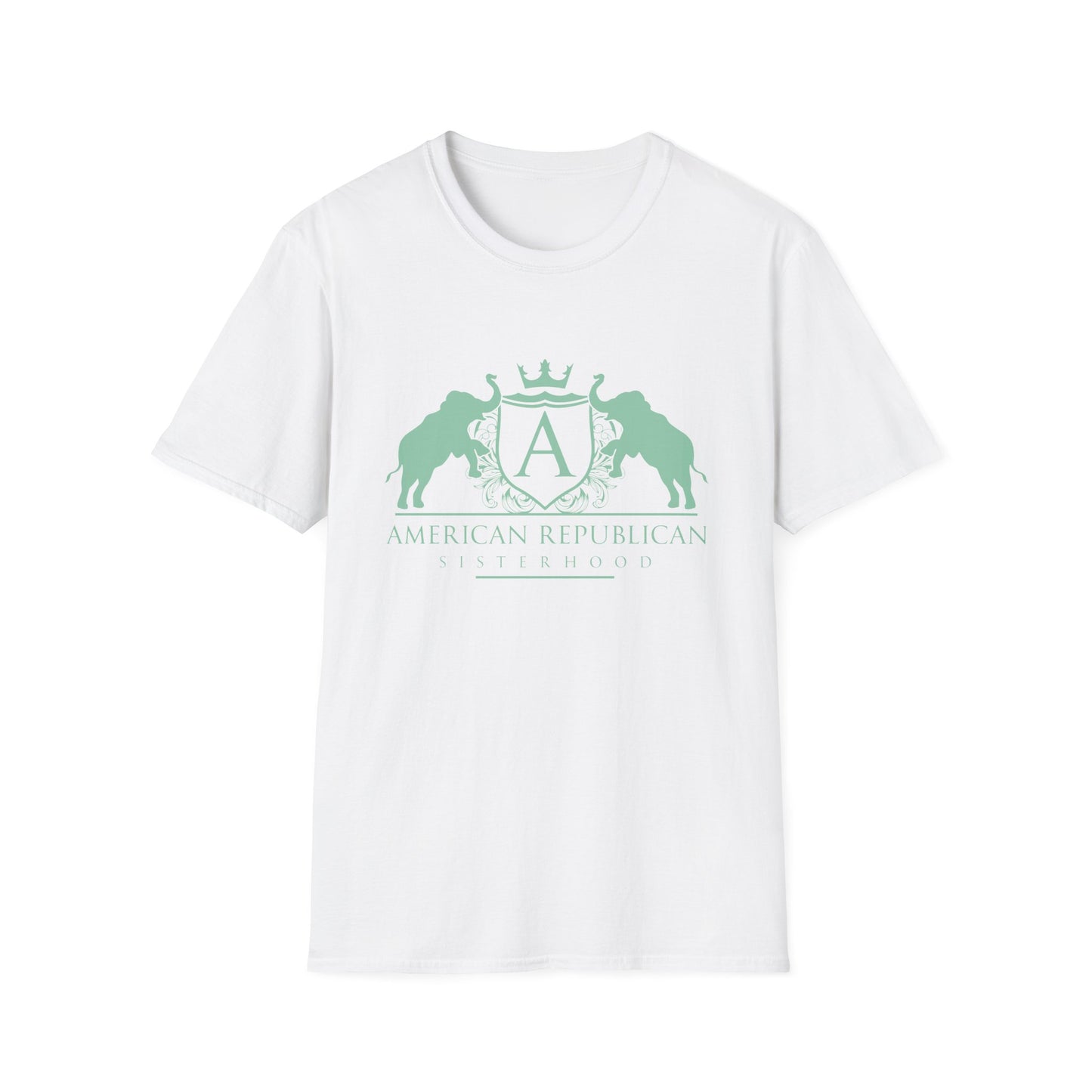 ARS Logo Women's Relaxed/Plus Tshirt (ARS - Mint Logo) - Sweet Baby Jeez Teez