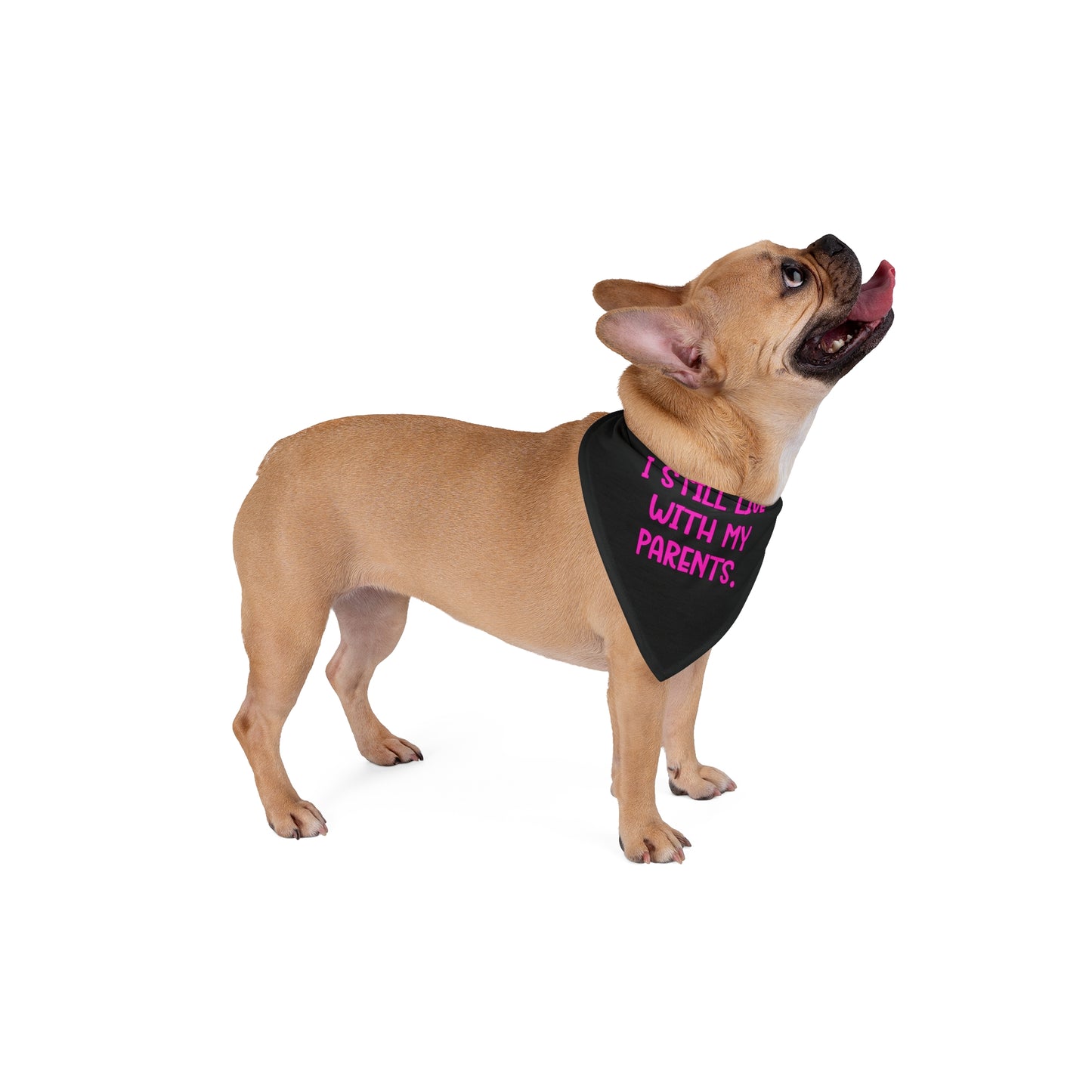 Live with Parents Pet Bandana, Black (Pink Logo) - Sweet Baby Jeez Teez