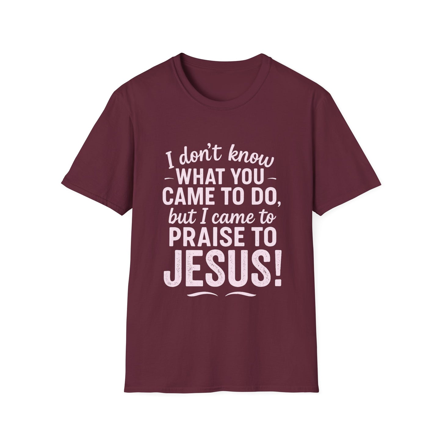 "I Came to Praise Jesus" Relaxed Softstyle Tshirt (Light Pink Logo) - Sweet Baby Jeez Teez