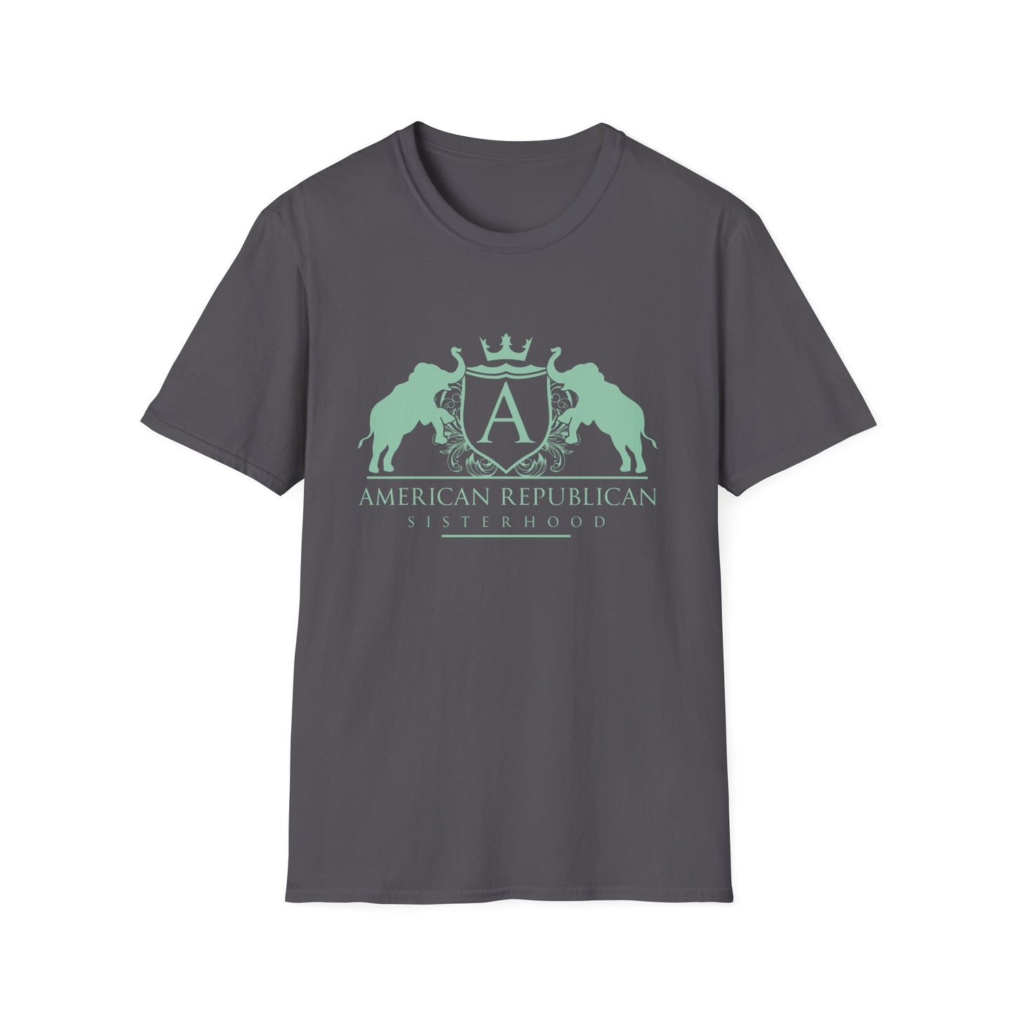 ARS Logo Women's Relaxed/Plus Tshirt (ARS - Mint Logo) - Sweet Baby Jeez Teez