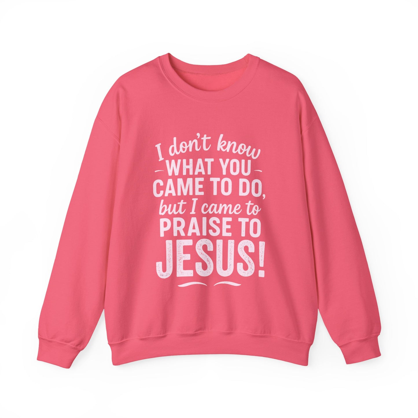 "Came to Praise Jesus" Unisex Heavy Sweatshirt (Light Pink Logo)