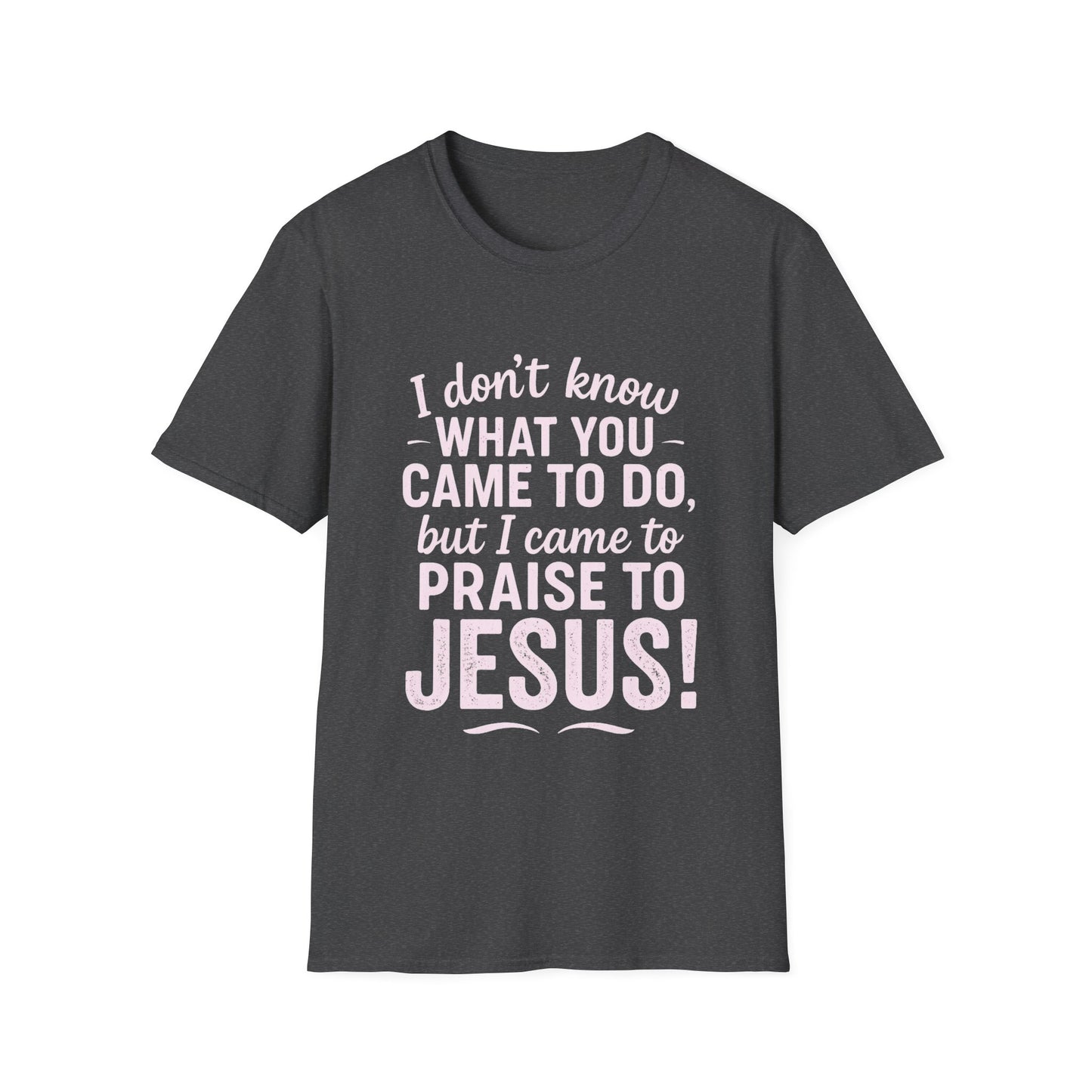 "I Came to Praise Jesus" Relaxed Softstyle Tshirt (Light Pink Logo) - Sweet Baby Jeez Teez