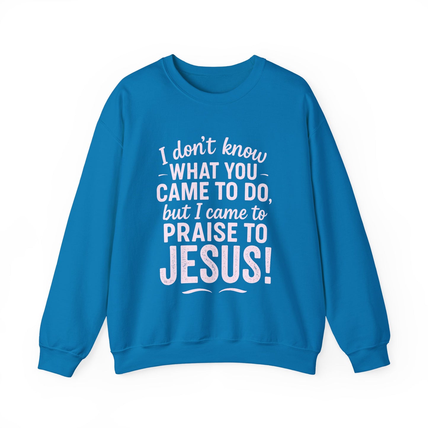 "Came to Praise Jesus" Unisex Heavy Sweatshirt (Light Pink Logo)