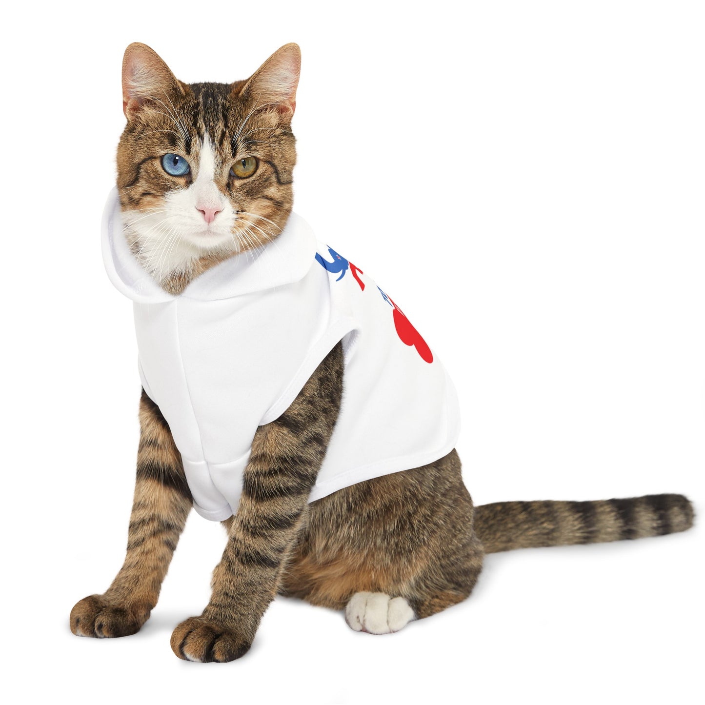 R to the Bone Pet Hoodie - Sweet Baby Jeez Teez