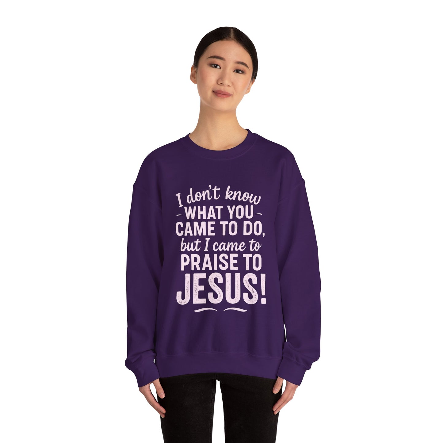"Came to Praise Jesus" Unisex Heavy Sweatshirt (Light Pink Logo)