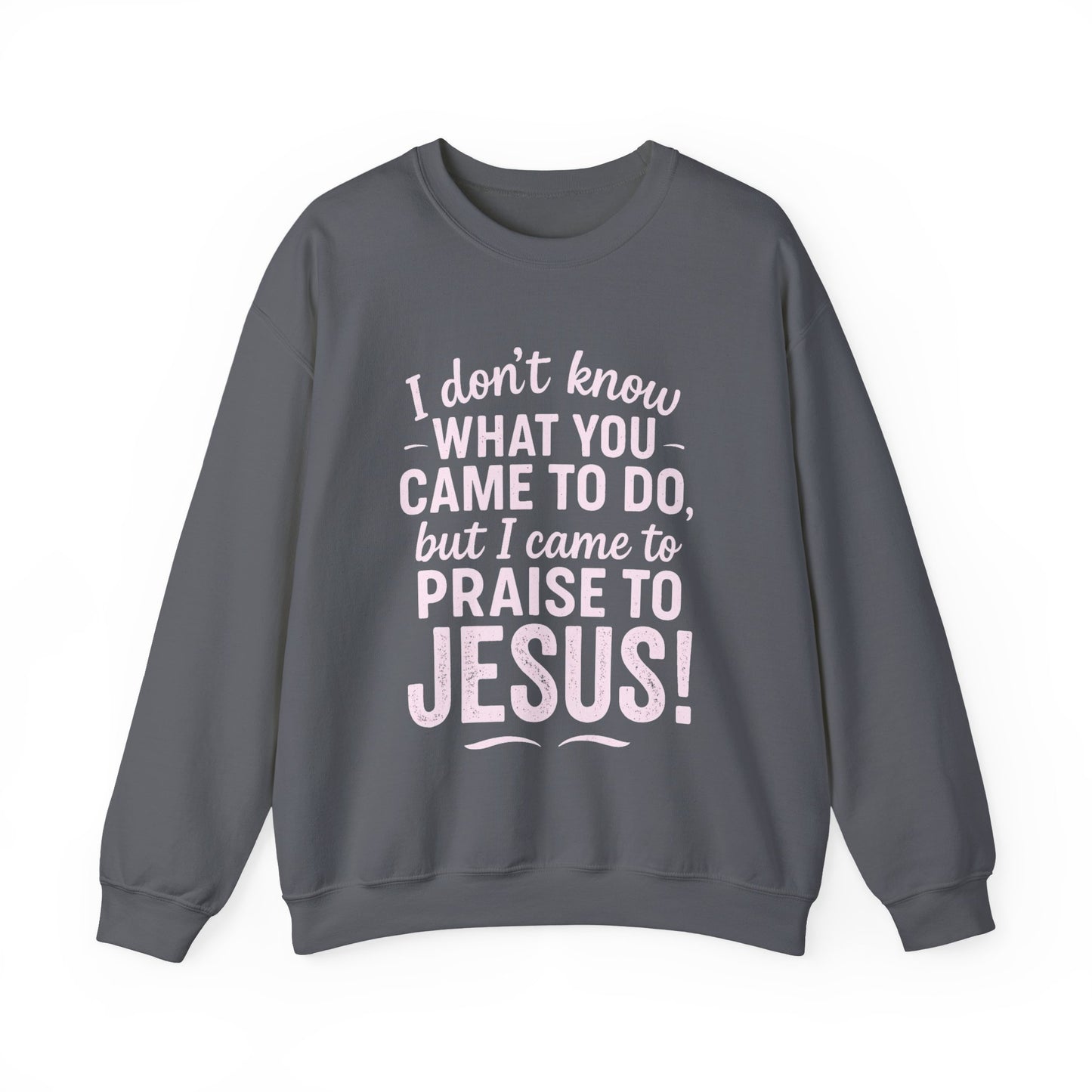 "Came to Praise Jesus" Unisex Heavy Sweatshirt (Light Pink Logo)