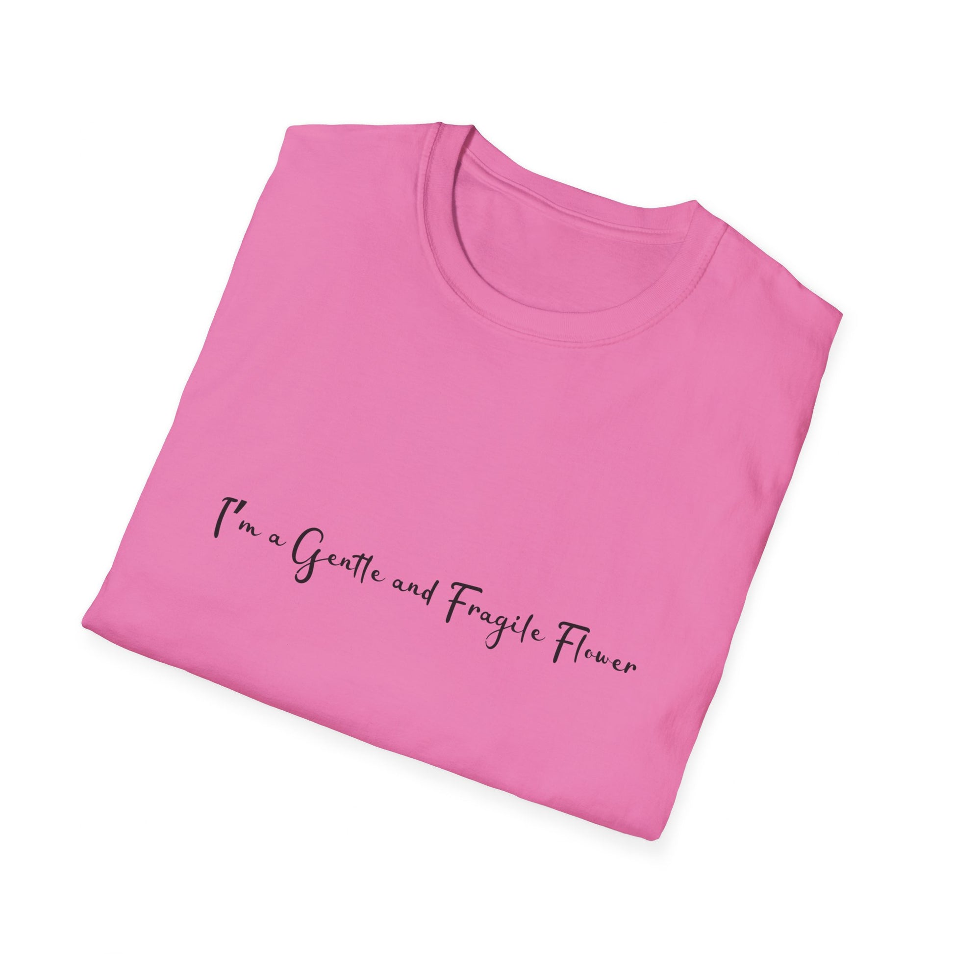 Fragile Flower Womens Relaxed/Plus Tshirt (FP Black Logo) - Sweet Baby Jeez Teez