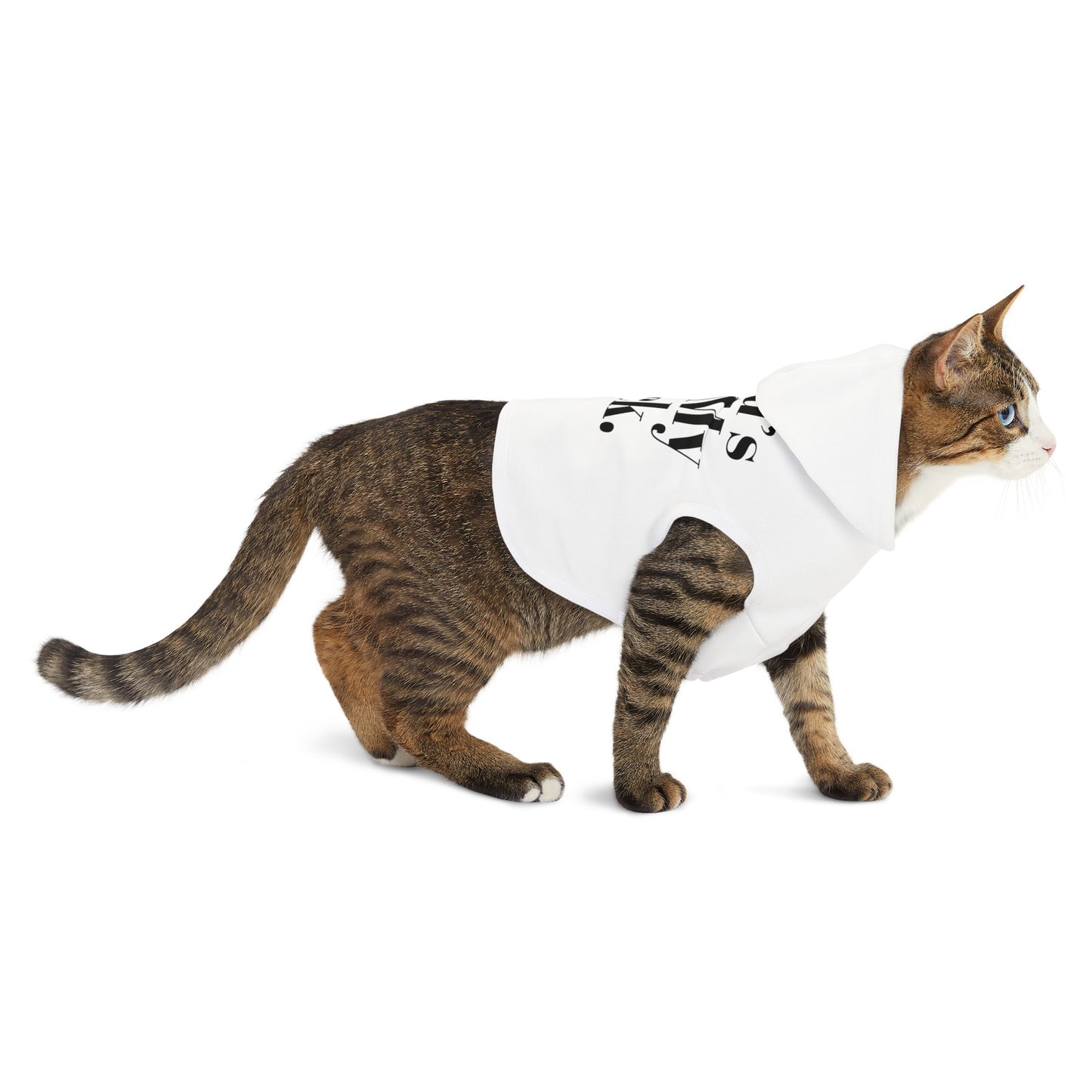 God's Got My Back Pet Hoodie (Black Logo) - Sweet Baby Jeez Teez