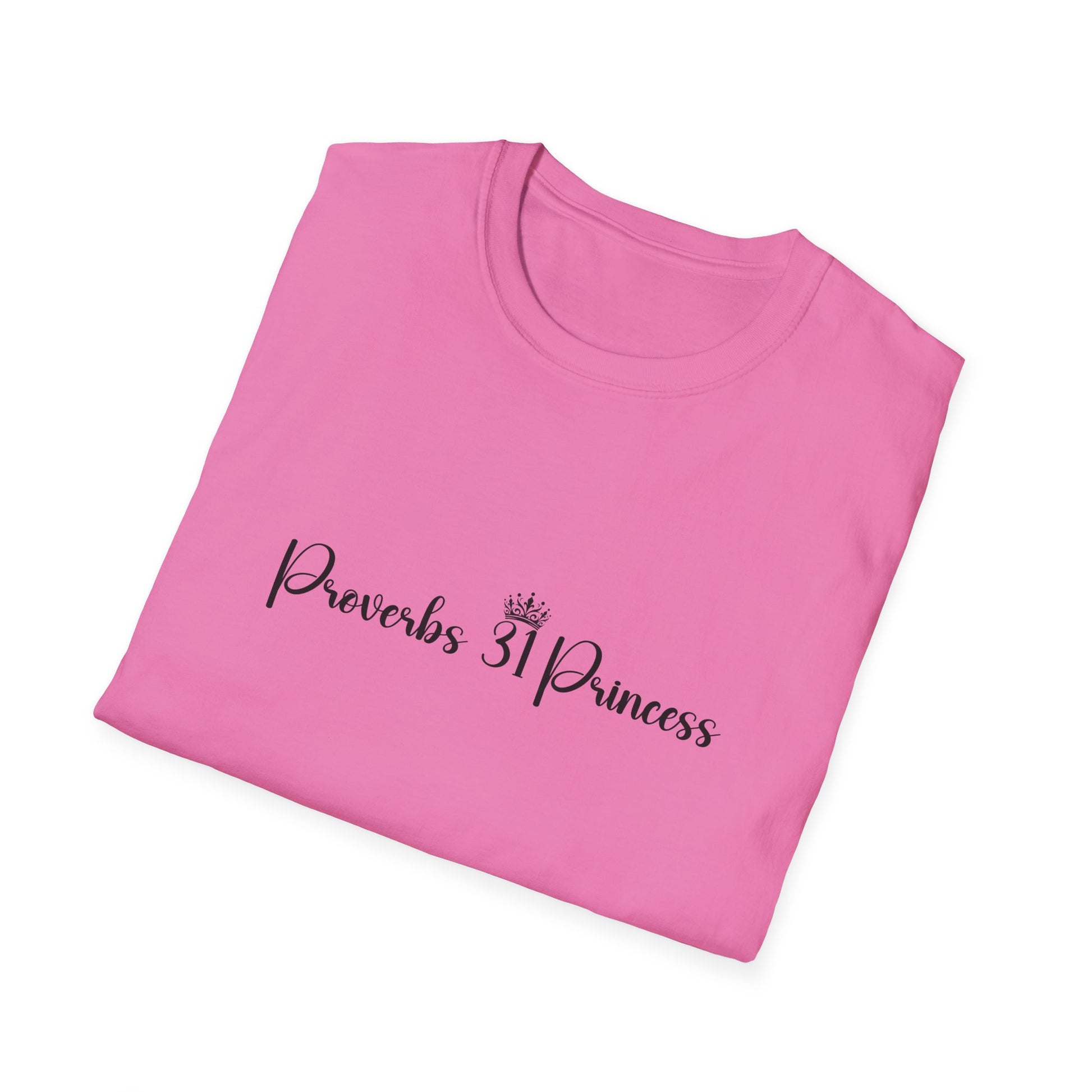 Proverbs 31 Princess Women's Relaxed/Plus Tshirt (Black Logo) - Sweet Baby Jeez Teez