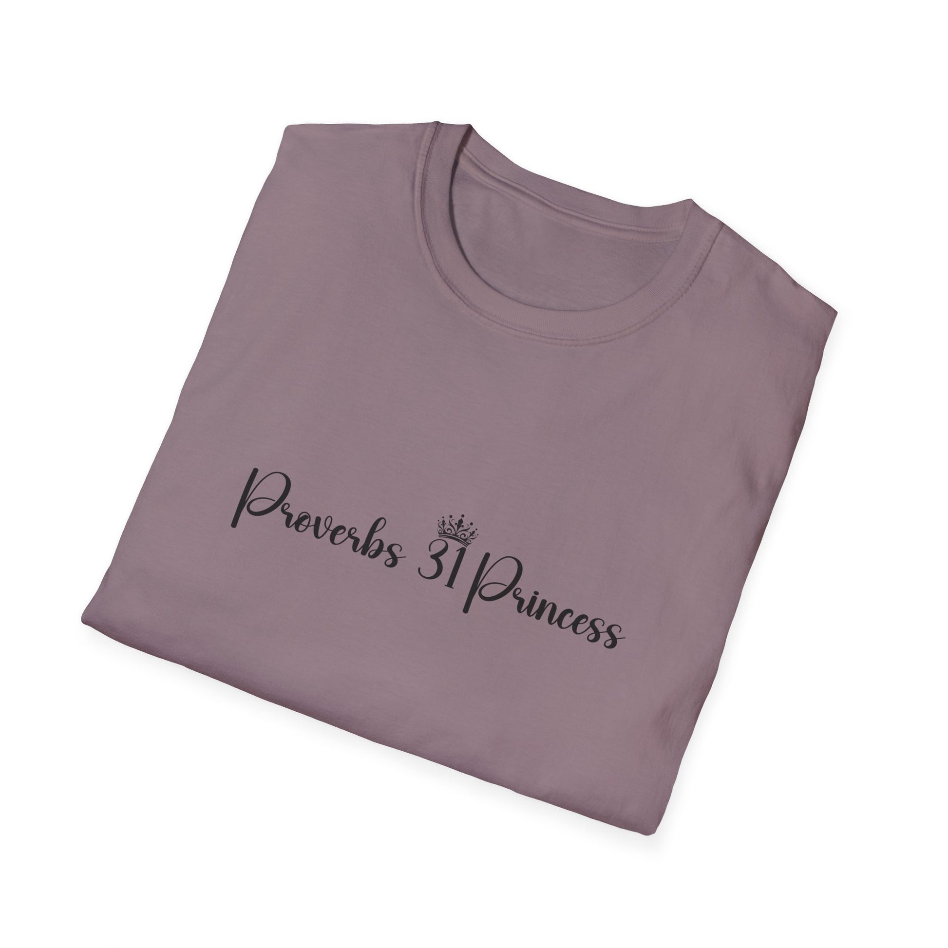 Proverbs 31 Princess Women's Relaxed/Plus Tshirt (Black Logo) - Sweet Baby Jeez Teez