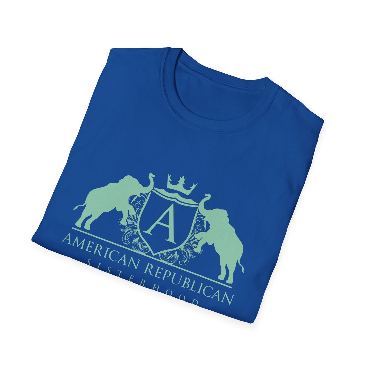 ARS Logo Women's Relaxed/Plus Tshirt (ARS - Mint Logo) - Sweet Baby Jeez Teez