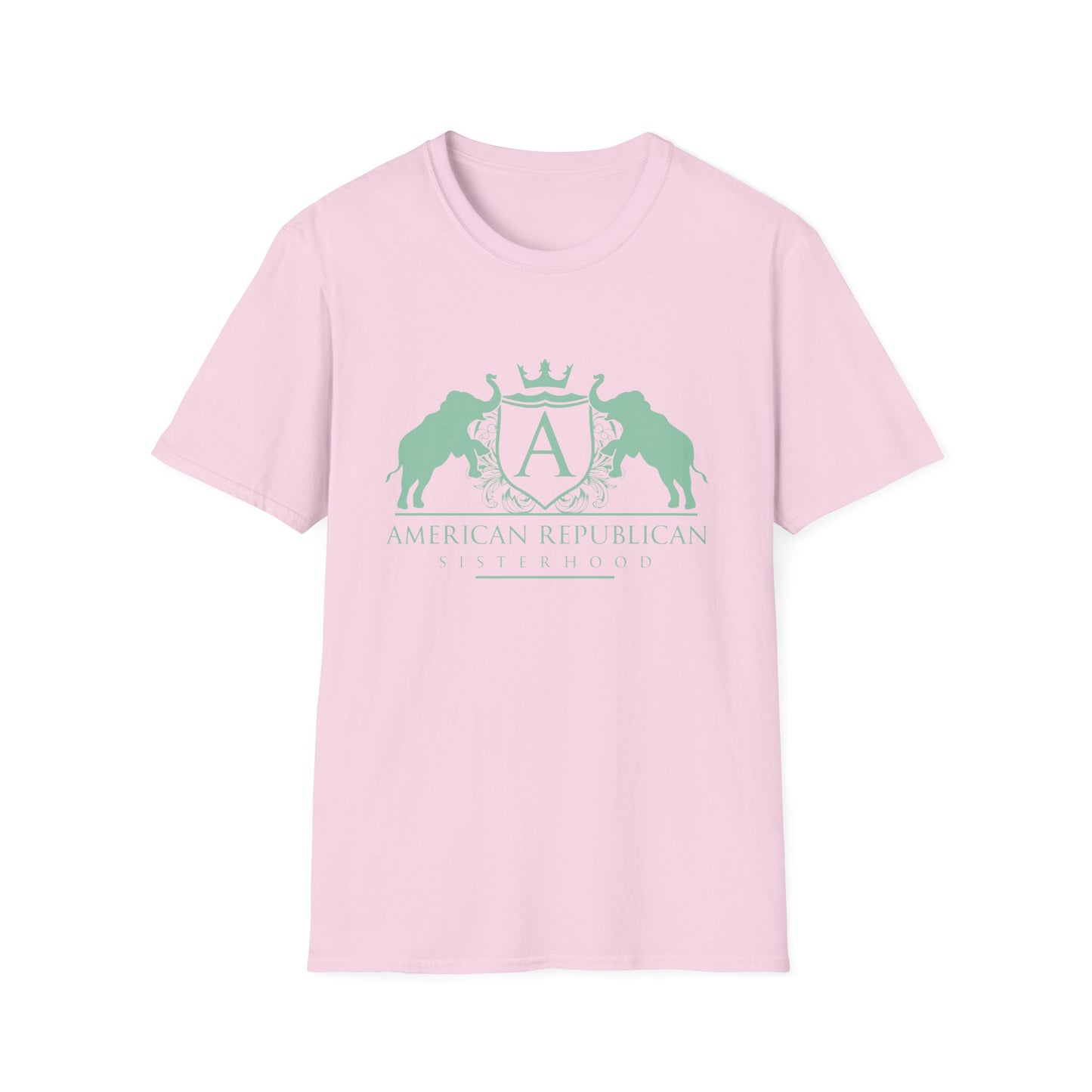 ARS Logo Women's Relaxed/Plus Tshirt (ARS - Mint Logo) - Sweet Baby Jeez Teez