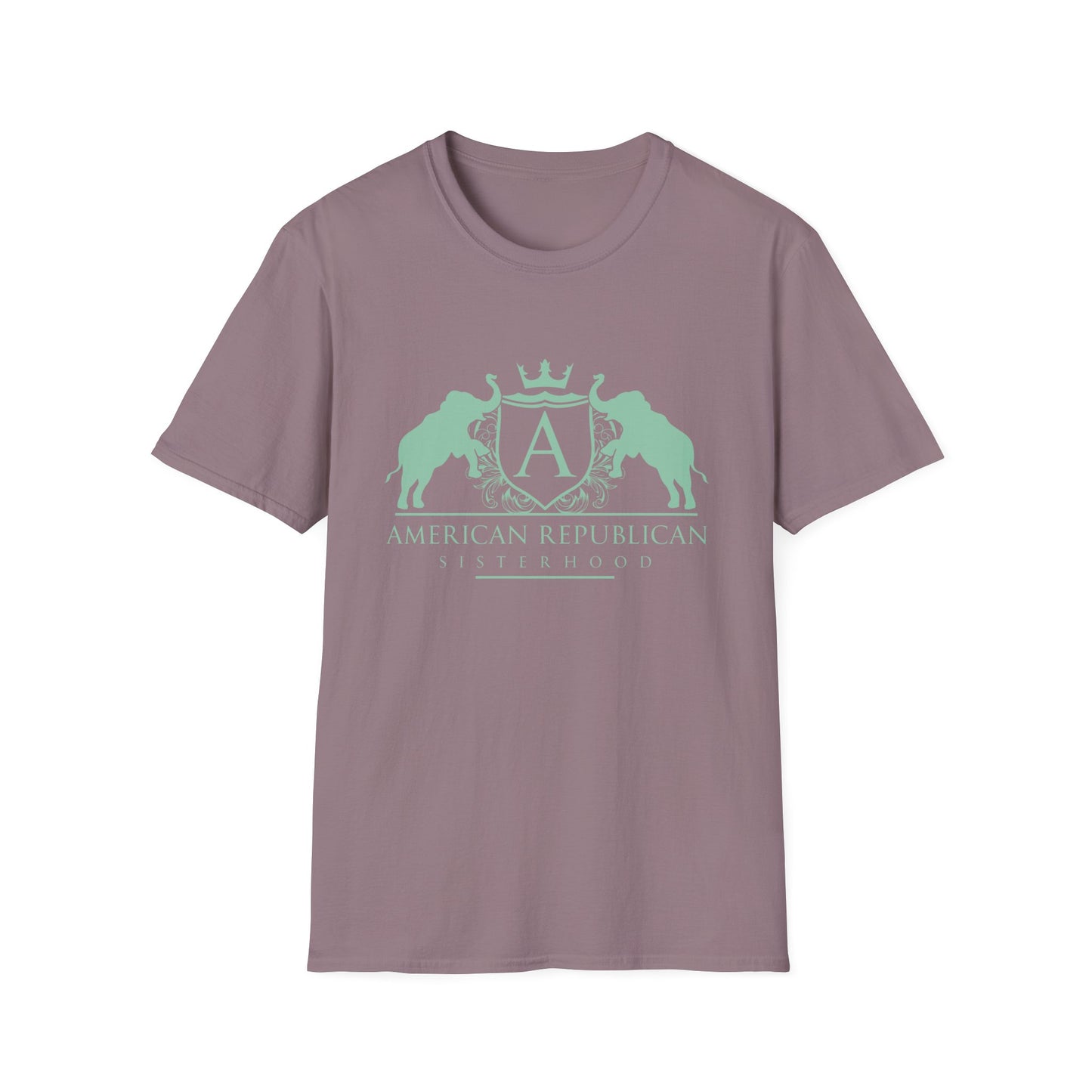 ARS Logo Women's Relaxed/Plus Tshirt (ARS - Mint Logo) - Sweet Baby Jeez Teez