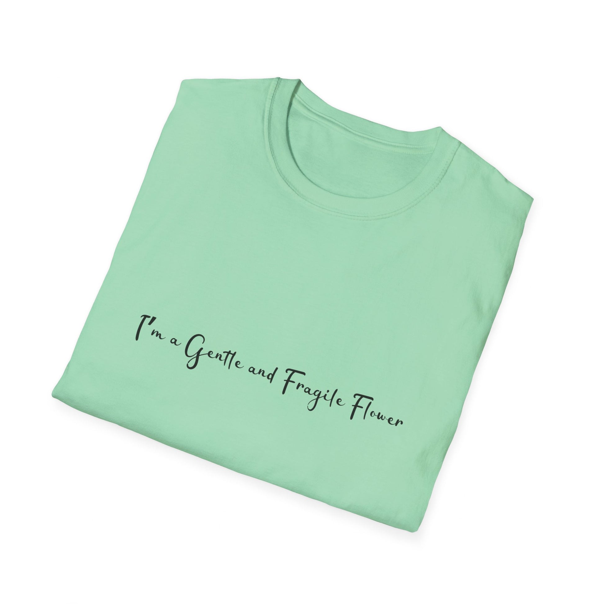 Fragile Flower Womens Relaxed/Plus Tshirt (FP Black Logo) - Sweet Baby Jeez Teez