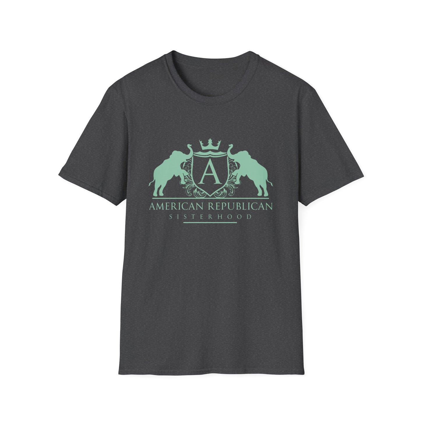 ARS Logo Women's Relaxed/Plus Tshirt (ARS - Mint Logo) - Sweet Baby Jeez Teez
