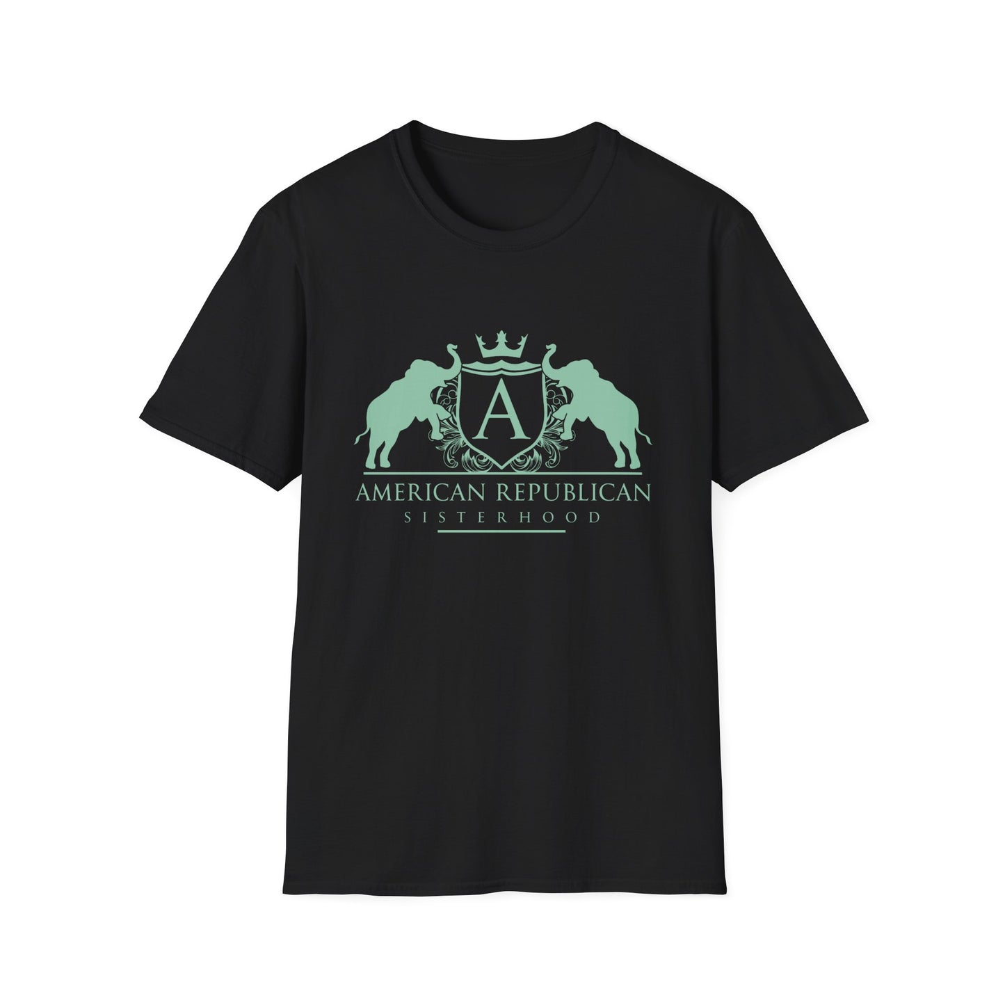 ARS Logo Women's Relaxed/Plus Tshirt (ARS - Mint Logo) - Sweet Baby Jeez Teez