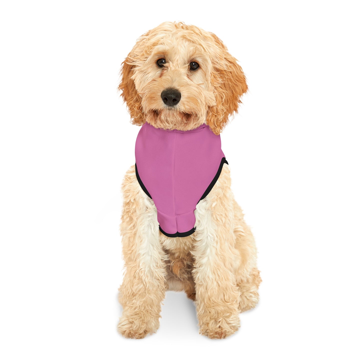 Live with Parents Pet Hoodie, Pink (Black Logo) - Sweet Baby Jeez Teez