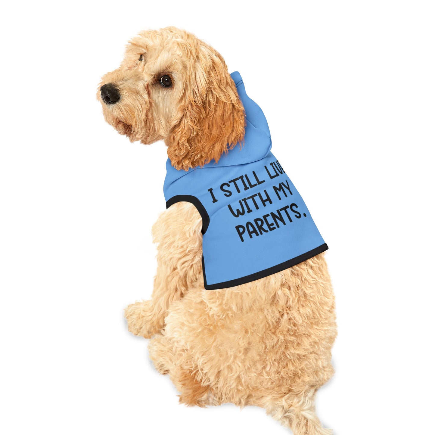 Live with Parents Pet Hoodie, Blue (Black Logo) - Sweet Baby Jeez Teez