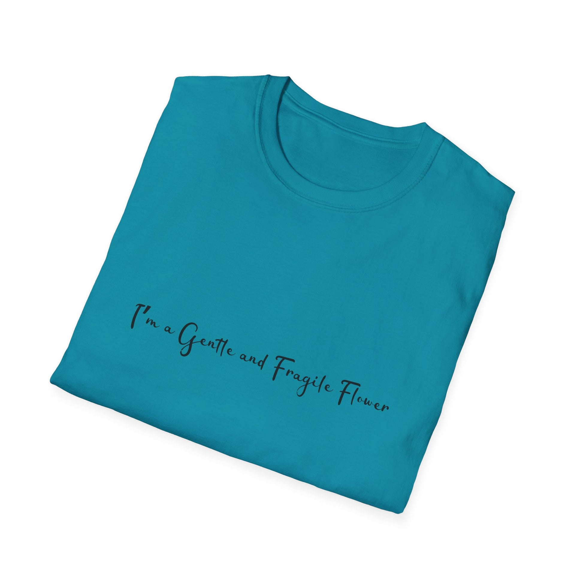 Fragile Flower Womens Relaxed/Plus Tshirt (FP Black Logo) - Sweet Baby Jeez Teez