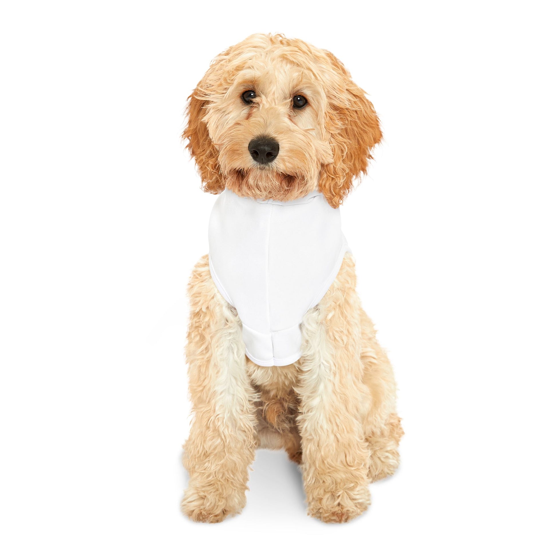 I Am Proof Pet Hoodie (Black Logo) - Sweet Baby Jeez Teez
