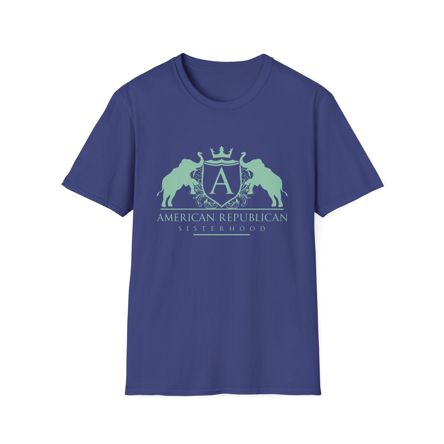 ARS Logo Women's Relaxed/Plus Tshirt (ARS - Mint Logo) - Sweet Baby Jeez Teez