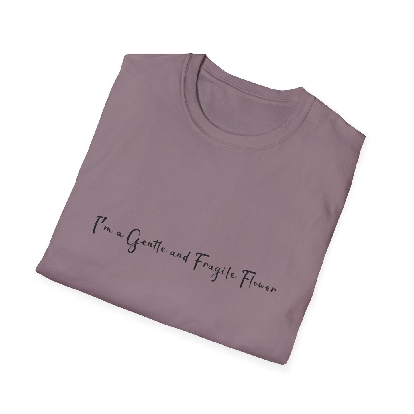 Fragile Flower Womens Relaxed/Plus Tshirt (FP Black Logo) - Sweet Baby Jeez Teez
