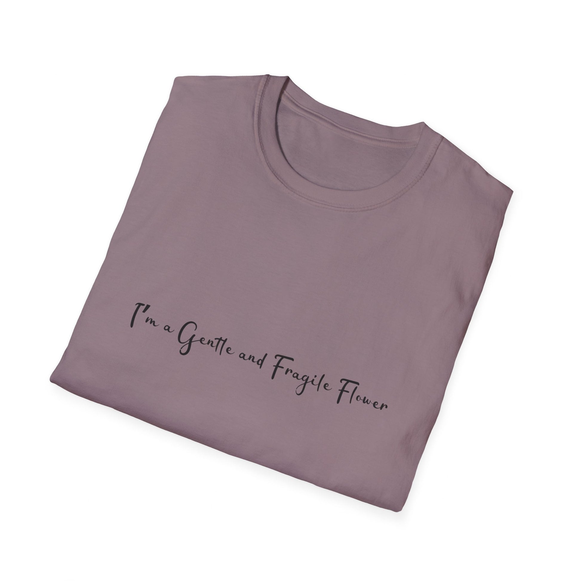 Fragile Flower Womens Relaxed/Plus Tshirt (FP Black Logo) - Sweet Baby Jeez Teez