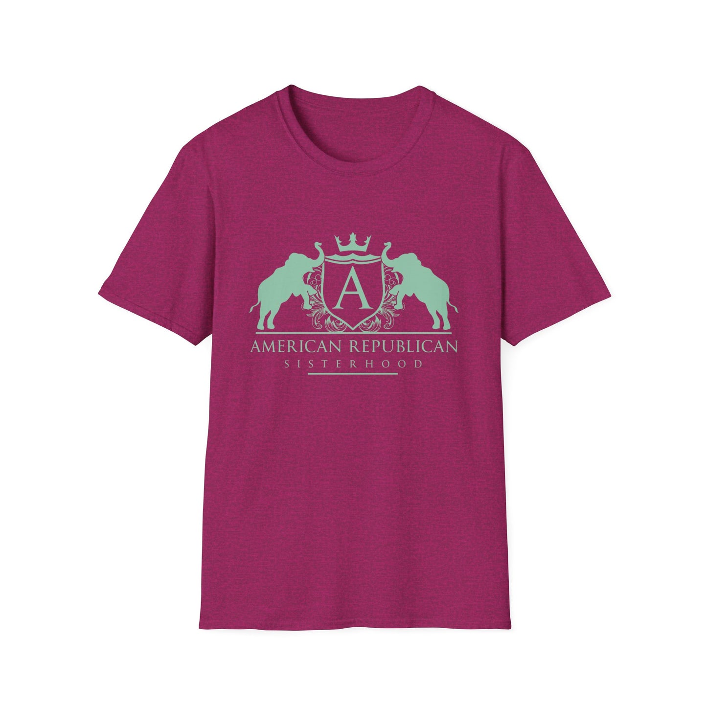 ARS Logo Women's Relaxed/Plus Tshirt (ARS - Mint Logo) - Sweet Baby Jeez Teez