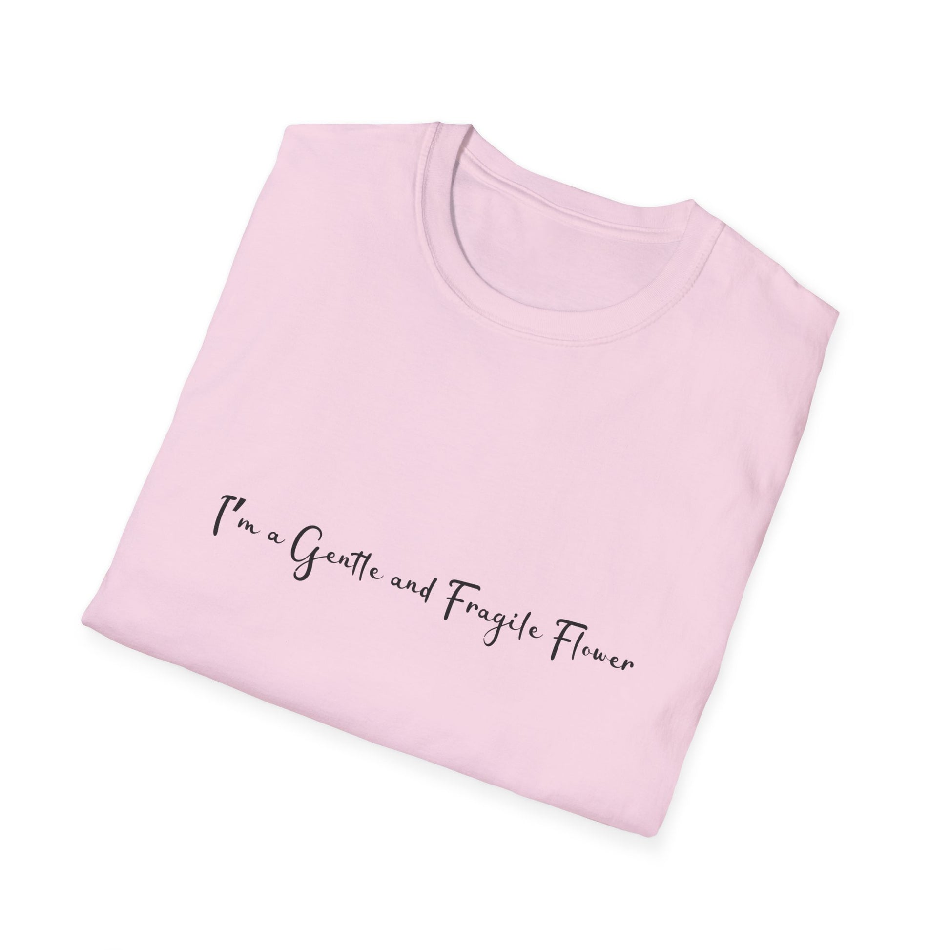 Fragile Flower Womens Relaxed/Plus Tshirt (FP Black Logo) - Sweet Baby Jeez Teez