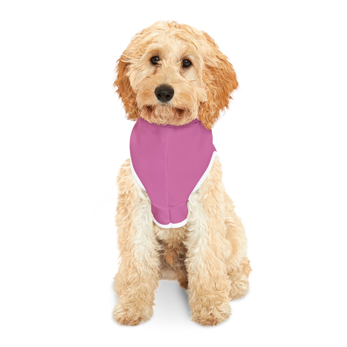 Live with Parents Pet Hoodie, Pink (Black Logo) - Sweet Baby Jeez Teez