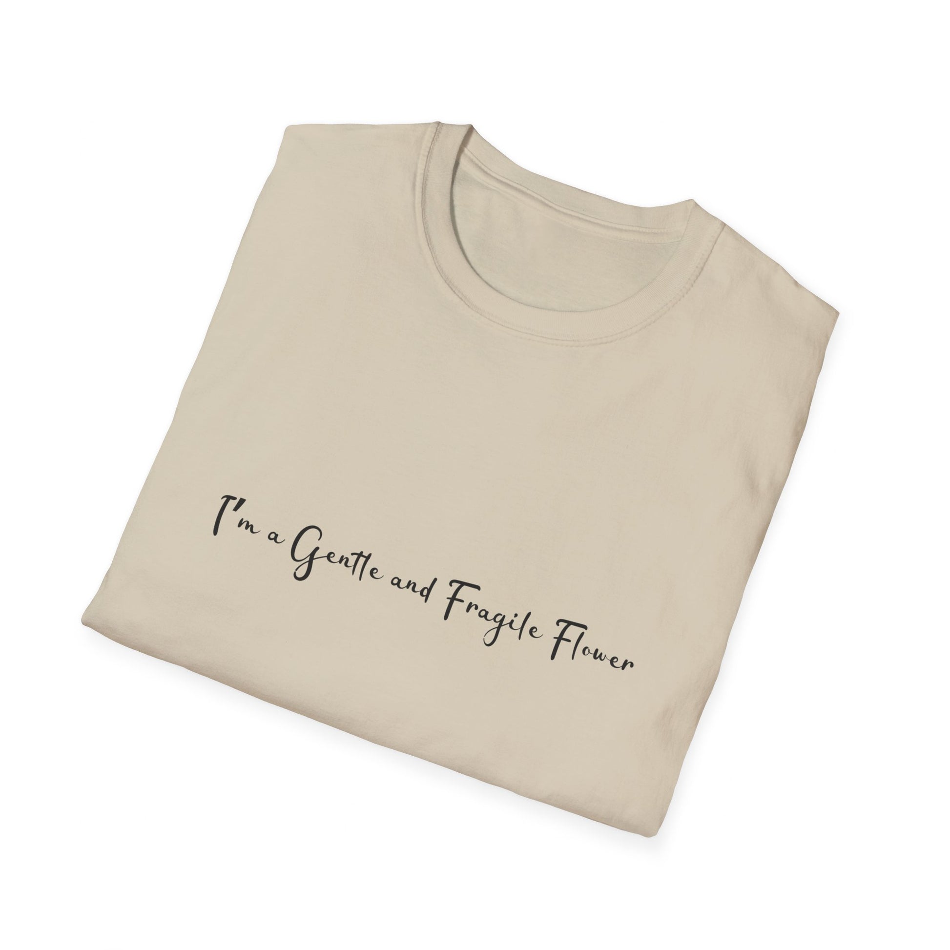 Fragile Flower Womens Relaxed/Plus Tshirt (FP Black Logo) - Sweet Baby Jeez Teez