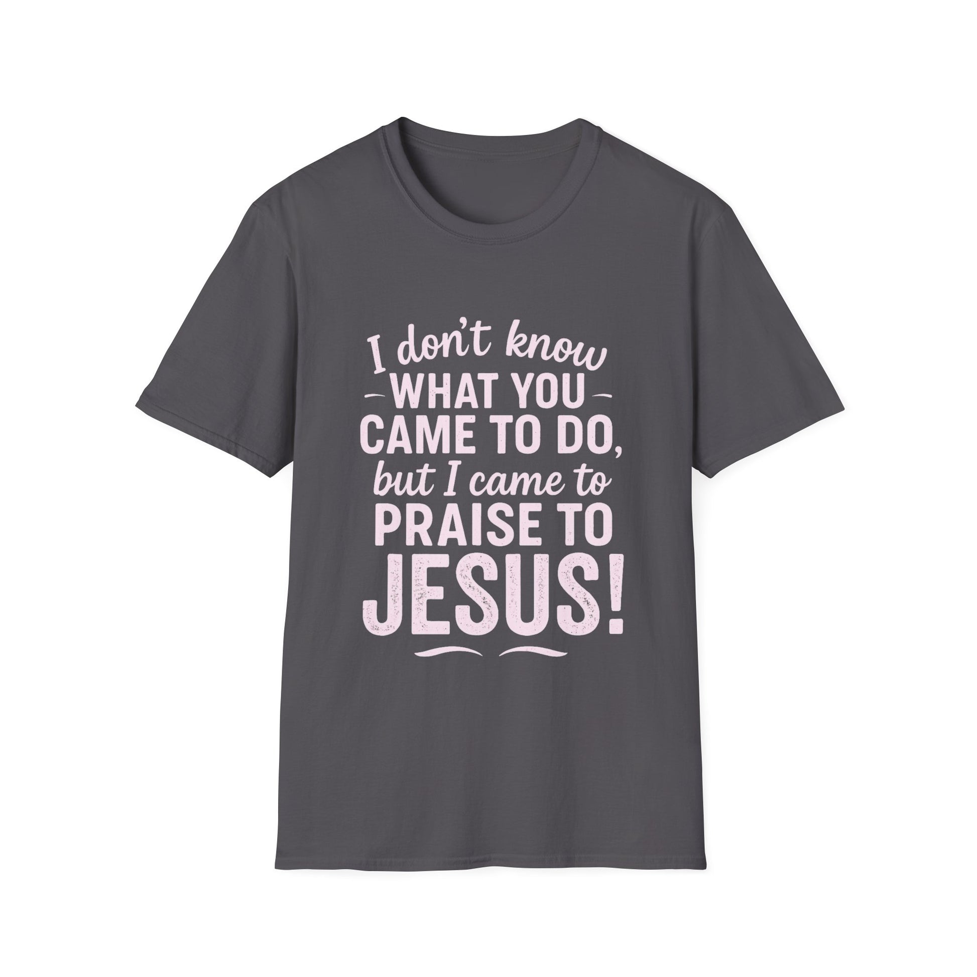 "I Came to Praise Jesus" Relaxed Softstyle Tshirt (Light Pink Logo) - Sweet Baby Jeez Teez