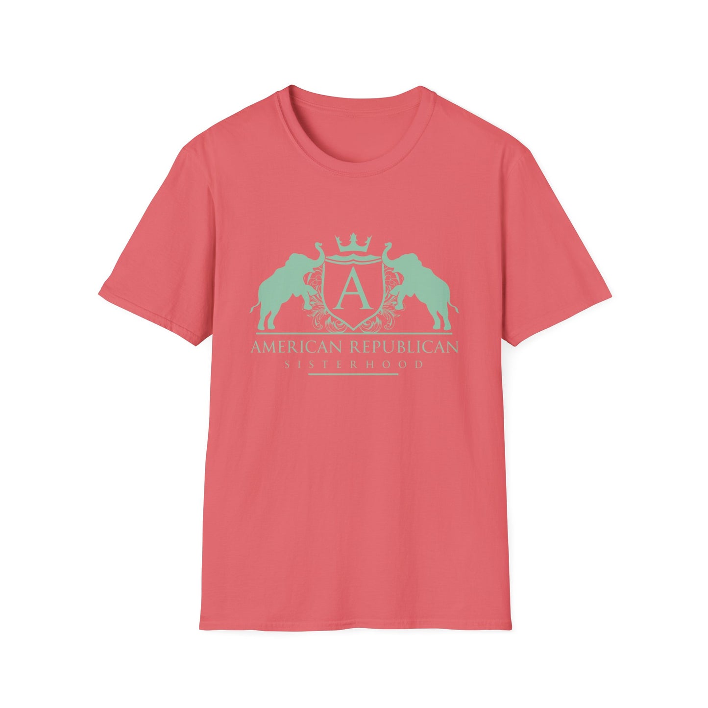 ARS Logo Women's Relaxed/Plus Tshirt (ARS - Mint Logo) - Sweet Baby Jeez Teez