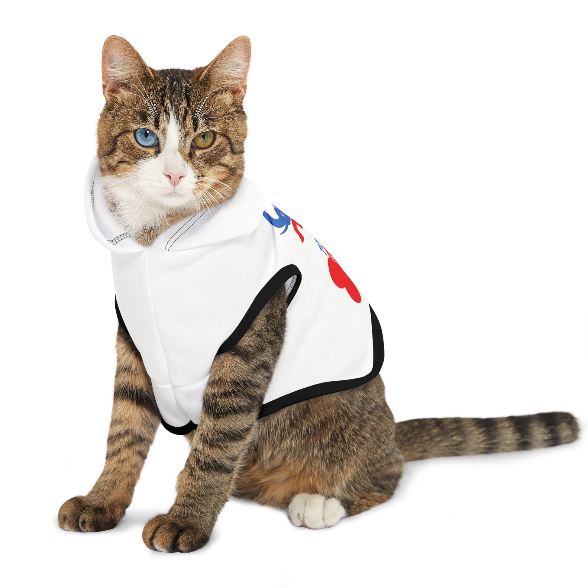 R to the Bone Pet Hoodie - Sweet Baby Jeez Teez