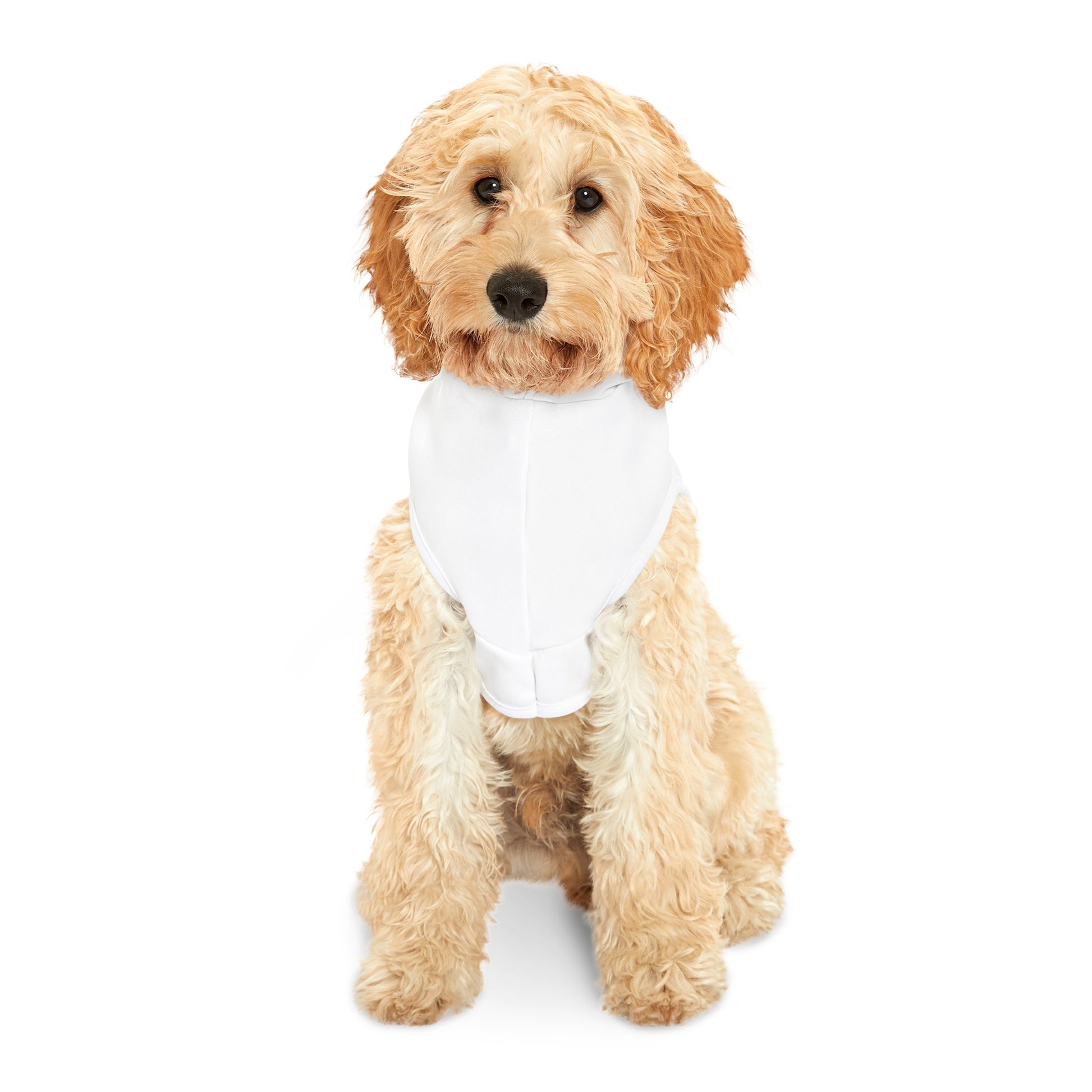 God's Got My Back Pet Hoodie (Pink Logo) - Sweet Baby Jeez Teez